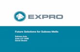 Future Solutions for Subsea Wells - Championing the … Solutions for Subsea Wells. Subsea Asia . ... sort of intervention is required every 4. th . ... Vertical trees well construction