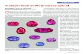 GEMOLOGY A closer look at Vietnamese spinel · PDF fileA closer look at Vietnamese spinel GEMOLOGY ... Absorption spectroscopy The absorption spectra of the spinel from Vietnam were