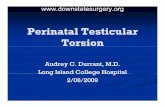 Perinatal Testicular · PDF filePerinatal Testicular TorsionTorsion Audrey C. Durrant, ... departments with acute scrotum. ... Neonatal Testicular Torsion.ppt [Compatibility Mode]