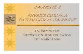 JAUNDICE 2 PHYSIOLOGICAL & PATHALOGICAL JAUNDICE 2 PHYSIOLOGICAL & PATHALOGICAL JAUNDICE LYNSEY WARD NETWORK NURSE ... • Therefore after a few days of treatment, the jaundice will