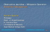 Obstructive Jaundice – Whipple’s Operation Anesthetic ...Obstructive Jaundice – Whipple’s Operation Anesthetic Management ... (Obstructive jaundice) – Calculi, ... Treatment