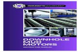 DOWNHOLE MUD MOTORS - pnmr.ru · PDF filePermneftemashremont JSC downhole mud motors Downhole motors are manufactured in accordance with TU 3664-005-00145885-2009. ... •Downhole