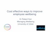 Cost effective ways to improve employee wellbeing effective.pdf · • Welfare Support Service • Employee Assistance Programme. Examples of wellbeing related initiatives Training