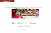 Andhra Pradesh MFI Crisis and its Impact on · PDF file2012 Centre for Microfinance and MicroSave [ANDHRA PRADESH MFI CRISIS AND ITS IMPACT ON CLIENTS] June 2012 & Ghiyazuddin M.A,