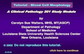 Tutorial - Blood Cell Morphology A Clinical Pathology 201 ... Cell Morphology... · bone marrow morphology. The presentation of illustrative cells in this module is by no means a