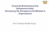 Corporate Entrepreneurship (Intrapreneurship): … Sessions/Session Notes:2/4... · Corporate Entrepreneurship (Intrapreneurship): Developing the Entrepreneurial Mindset in Organizations