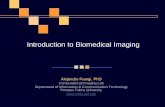 Introduction to Biomedical Imaging - Unitat de ...afrangi/ibi/MagneticResonanceImaging.pdf · Introduction to Biomedical Imaging Magnetic Resonance Imaging MRI Principle ... Basics