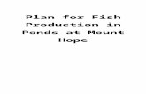 Plan for Fish Production in Ponds at Mount Hopemount-hope.org/wp-content/uploads/2011/01/Plan-for-Fish... · Web viewPlan for Fish Production in Ponds at Mount Hope Introduction Four