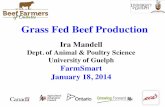 Grass Fed Beef Production · PDF fileGrass Fed Beef Production Ira Mandell Dept. of Animal & Poultry Science University of Guelph ... –Fed Nutricharge (source of electrolytes & energy