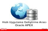 Hızlı Uygulama Geliştirme Aracı - · PDF fileAPEX Nedir? •Oracle RDBMS için Hızlı Uygulama Geliştirme (RAD) aracı •2004 - İlk sürümü HTML DB 1.5 •2006 - Application