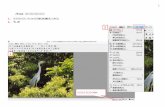 pasoclub.sakura.ne.jppasoclub.sakura.ne.jp/3-training/documents/TR-2017-03... · Web viewJTrim で画像のサイズを変更する 1, リサイズする画像をJTrimで開きます。ここでは