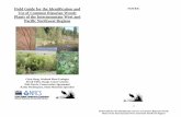 Field Guide for Woody plants - Home | NRCS Guide for the Identification and Use of Common Riparian Woody Plants of the Intermountain West and Pacific Northwest Regions Chris Hoag,