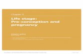Life stage: Pre-conception and pregnancy - gov.uk · PDF fileLife stage: Pre-conception and ... Prevention Pays Chapter 5 page 3. Life stage: Pre-conception and pregnancy. ... Pre-conception