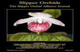 The Slipper Orchid Alliance · PDF fileThe Slipper Orchid Alliance Journal Slipper Orchids ... difficult to cultivate than its North American counterpart, ... native to Midwestern