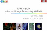 EPFL BIOP Advanced Image Processing, MATLABbiop.epfl.ch/pdf/Courses/2015/Matlab_2015.pdf · Advanced Image Processing, MATLAB 20-22.04.2015 O. Burri, ... and filter the DAPI signal.