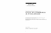 Uptake preservation of CUT FLOWERS & FOLIAGE · PDF fileUptake preservation of CUT FLOWERS & FOLIAGE ... How does the anatomy and morphology of plants influence the uptake ... For