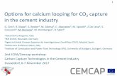 Options for calcium looping for CO capture in the cement ... · PDF file2IKN GmbH, Neustadt, ... ROTARY KILN CLINKER COOLER 40 Inlet Air COOLER FANS Limestone + correctives 20 19 10
