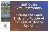 Gulf Coast Bird Observatory Linking the Land Birds and ...txmn.org/cradle/files/2010/09/TP_Hawk_ Coast Bird Observatory Linking the Land ... web-based data entry/access system. 2)
