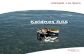Kaldnes™ · PDF fileKaldnes™ MBBR The Moving Bed Bioﬁ lm Reactor (AnoxKaldnes™ MBBR technologies) is our own proprietary technology, and the biological engine of Kaldnes™