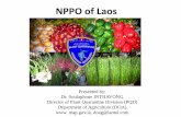 NPPO of Laos - IPPC · PDF fileNPPO of Laos. Legislation ... *Deposit Instrument: 24 December 2006 Membership of IPPC. DEPARTMENT OF AGRICULTURE /NPPO Admin. Division Technical