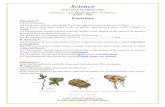 (Class VII) Exercises - Tiwari · PDF file(Class – VII) A Free web support in Education 1 Exercises Question 1: ... Spore formation The spores are asexual reproductive bodies. ...