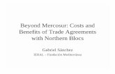 Beyond Mercosur: Costs and Benefits of Trade … PowerPoint... · Benefits of Trade Agreements with Northern Blocs Gabriel Sánchez ... • Advantages & disadvantages over UTL ...