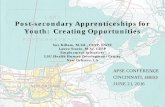 Post-secondary Apprenticeships for Youth: Creating ... · PDF filePost-secondary Apprenticeships for Youth: Creating Opportunities Sue Killam, ... APSE CONFERENCE. CINCINNATI, OHIO.
