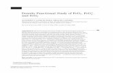 Density Functional Study of FeO C and · PDF file · 2017-12-28Density Functional Study of FeO 2,FeO C 2, ... the understanding at a mole-cular level of such diverse processes as