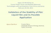 Validation of the Stability of PbLi Liquid Film and its … of the Stability of PbLi Liquid Film and its Possible Application Fumito Okino Graduate School of Energy Science, Kyoto