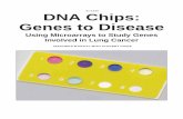DNA Chips: Genes to Disease - UF CPET - University of Florida · PDF file21-1520 DNA Chips: Genes to Disease Using Microarrays to Study Genes Involved in Lung Cancer TEACHER’S MANUAL