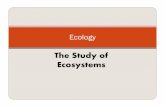 The Study of Ecosystems - Western Coventry Schoolfaculty.coventryschools.net/stetsonpeter/C47Ecology.pdf · The Study of Ecosystems Ecology. ... Living things in an ecosystem are