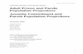 Prison Population Projection 2005 - … OF THE PROJECTION MODEL DCJ estimates the adult DOC population using a mathematical model that ... to the next decision point in …