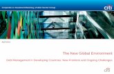 Corporate & Investment Banking | Public Sector Group Management in Developing Countries: New Frontiers and Ongoing Challenges The New Global Environment April 2014 Corporate & Investment