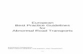 European Best Practice Guidelines for Abnormal Road Transports · PDF file- 1/61 - European Best Practice Guidelines for Abnormal Road Transports EUROPEAN COMMISSION DIRECTORATE-GENERAL