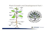Plant Growth and Development Part I 2012 - MSU Extension Growth... · Plant Growth and Development Part I ... Unique adaptation of plants. ... Cells Organelles Macromolecules. Plant