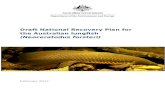 Draft National Recovery Plan for the Australian lungfish ... · Web viewDraft National Recovery Plan for the Australian lungfish (Neoceratodus forsteri) February 2017 The Species Profile