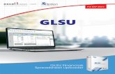 GLSU Financials Spreadsheet Uploadercollateral.excel4apps.com/sap/documents/GLSU-SAP... · manually keyed or copy/ pasted into Excel, ... SAP document in seconds ... Enter only relevant