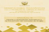 Orientaciones pedagógicas para la ... - tutoria.minedu.gob.petutoria.minedu.gob.pe/assets/modulo-ii.pdf · logro de los aprendizajes, el plan de estudios de la EBR considera una