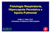 Fisiología Respiratoria, Hipercapnia Permisiva e Injuria ... · PDF fileWally A. Carlo, M.D. University of Alabama at Birmingham Fisiología Respiratoria, Hipercapnia Permisiva e
