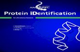 Protein iDentification - anaspec.com idetection-us... · comprehensive offer ... Fluorescent reagents are used extensively to trace the presence of biomolecules ... Protein iDentification