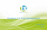 Strategic FX Risk Management - Treasury · PDF file · 2017-03-23Strategic FX Risk Management September 2005 Turnhout. ... - the change in the option premium if spot changes ... •