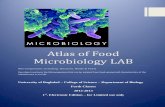 Atlas of Food Microbiology LAB - College of Science ...en.scbaghdad.edu.iq/files/Atlas Food Microbiology.pdf · Atlas of Food Microbiology LAB ... S. aureus Small colonies, smooth,