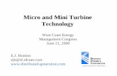 Micro and Mini Turbine Technology - Distributed …distributed-generation.com/Library/AEE_Presentation.pdfMicro and Mini Turbine Technology E.J. Honton ejh@sf.rdcnet.com West Coast