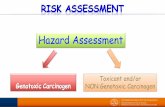 Presentazione di PowerPoint - htd.hrhtd.hr/wp-content/uploads/sites/414/2016/04/Lecture_Risk-asses... · MoS NOAEL SED The Systemic Exposure Dosage (SED) of a (cosmetic) substance