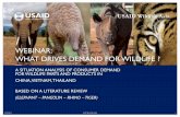 WEBINAR: WHAT DRIVES DEMAND FOR WILDLIFE situation analysis of consumer demand for wildlife parts and products in chni a, vei tnam t, hailand ... • cmr china market research group