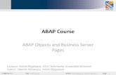 ABAP objects and BSP - ELTE SAP ABAP Objects • Object-oriented enhancement of ABAP • Stepwise conversion of existing ABAP source code into ABAP Objects • Major tools: –ABAP