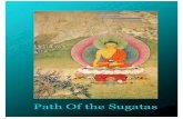 The Path of the Sugatas - Tsonytsony.com/wp-content/uploads/2016/02/Shakyamuni-sadhana_Updated...Composed in Tibetan and translated by Kunzig Shamar Rinpoche ... Refuge and Bodhicitta