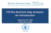 Fill the Nutrient Gap Analysis: An introduction the Nutrient Gap... · Fill the Nutrient Gap Analysis: An introduction Saskia de Pee, PhD ... 3. Good nutrition is ... Q2 2017 Laos: