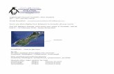 oceaniamastersathletics2018@gmail - Oceania … Ground, Dunedin, New Zealand 20th – 27th January 2018 Email Enquiries: oceaniamastersathletics2018@gmail.com There are direct flights