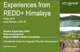 Experiences from REDD+ Himalayaindiaatcop23.org/images/presentation/experiences-from...Supported Social Forestry and Extension Division in designing a community based forest carbon